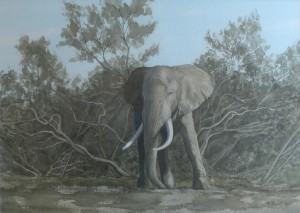 aquarelle_Bill_nb3_utanRam